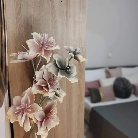 公寓 Muoi Luxury Residences 阿里克斯