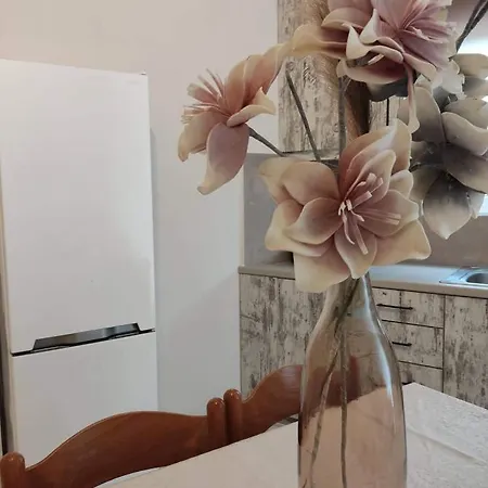 Muoi Luxury Residences * 阿里克斯