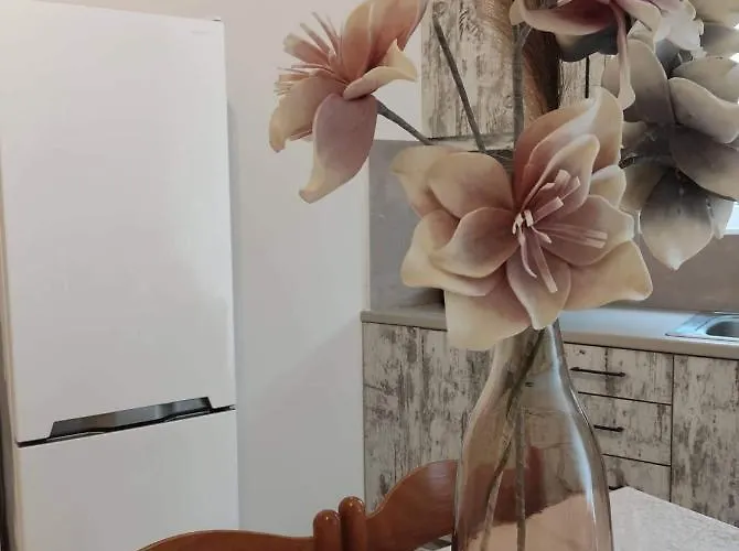 Muoi Luxury Residences * 阿里克斯