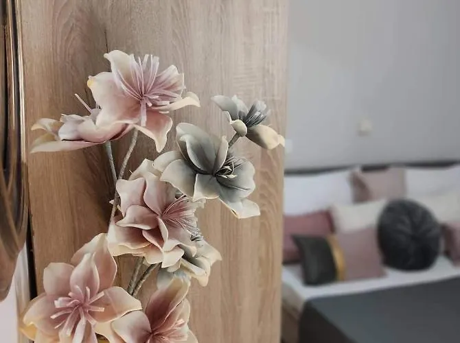 아파트 Muoi Luxury Residences 알리케스